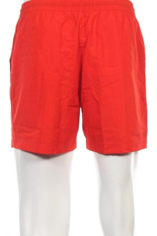 Herren Badeanzug Calvin Klein, Größe M, Farbe Mehrfarbig, Preis € 58,99
