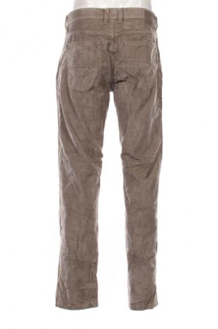 Herren Cordhose Camel Active, Größe L, Farbe Beige, Preis € 47,99