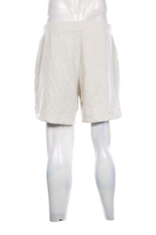 Herren Shorts Adidas, Größe L, Farbe Grau, Preis € 28,99
