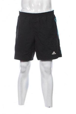 Herren Shorts Adidas, Größe L, Farbe Schwarz, Preis € 23,99
