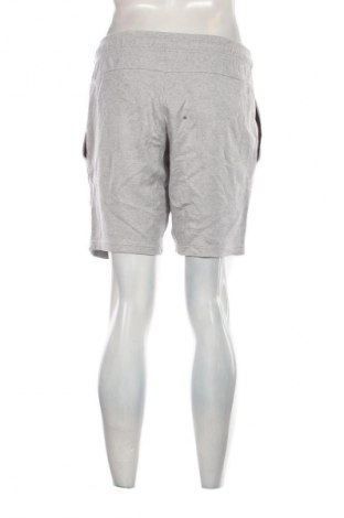 Herren Shorts Adidas, Größe S, Farbe Grau, Preis € 26,99