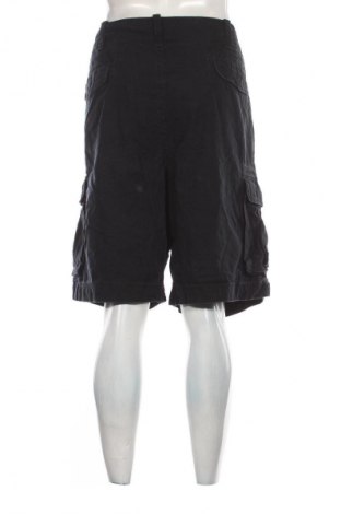 Herren Shorts Arizona Jean Co, Größe XXL, Farbe Blau, Preis 14,83 €