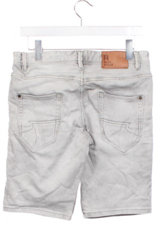 Herren Shorts Blue Ridge, Größe S, Farbe Grau, Preis € 18,99