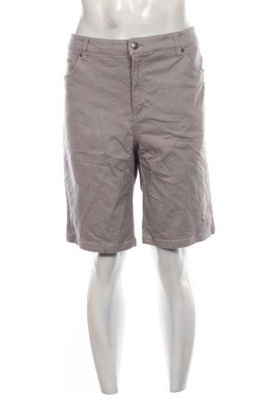 Herren Shorts Bpc Bonprix Collection, Größe L, Farbe Grau, Preis 14,99 €