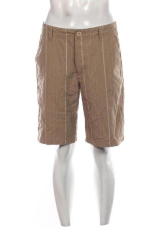 Herren Shorts DC Shoes, Größe M, Farbe Mehrfarbig, Preis € 29,99