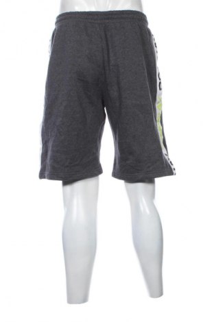 Herren Shorts Donnay, Größe L, Farbe Grau, Preis € 13,99