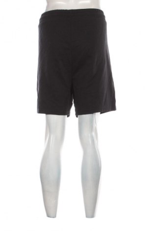 Herren Shorts Ergee, Größe XXL, Farbe Schwarz, Preis € 15,99