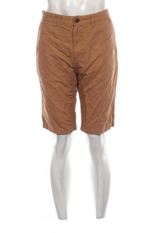 Herren Shorts Esprit, Größe L, Farbe Braun, Preis 23,99 €