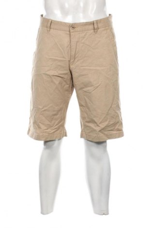 Herren Shorts Gardeur, Größe L, Farbe Mehrfarbig, Preis € 28,99