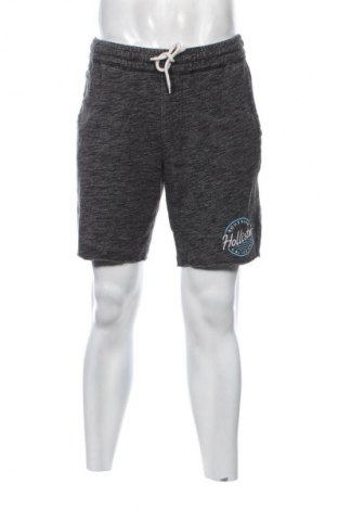 Herren Shorts Hollister, Größe M, Farbe Mehrfarbig, Preis 13,99 €