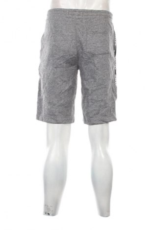 Herren Shorts Hollister, Größe S, Farbe Grau, Preis € 20,99
