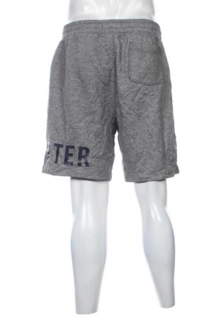 Herren Shorts Hollister, Größe XL, Farbe Mehrfarbig, Preis € 20,99