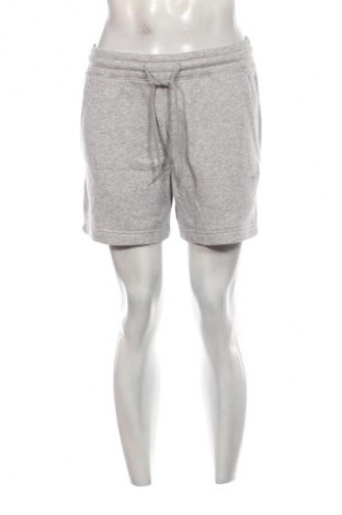 Herren Shorts Hollister, Größe S, Farbe Grau, Preis € 44,99