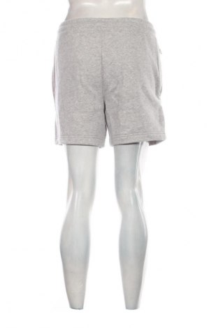 Herren Shorts Hollister, Größe S, Farbe Grau, Preis € 44,99
