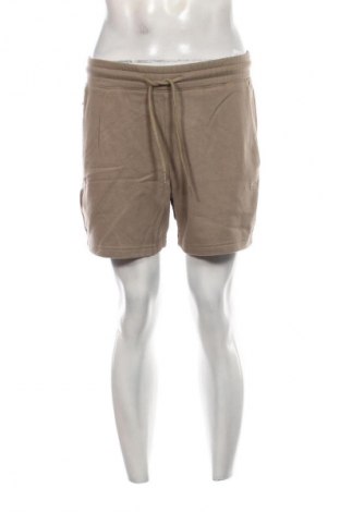 Herren Shorts Hollister, Größe S, Farbe Beige, Preis € 48,99