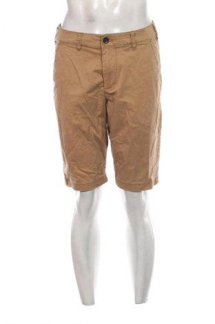 Herren Shorts Hollister, Größe M, Farbe Braun, Preis € 20,99