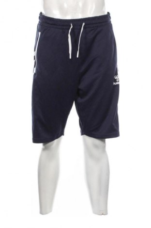 Herren Shorts Hummel, Größe XL, Farbe Blau, Preis € 13,99