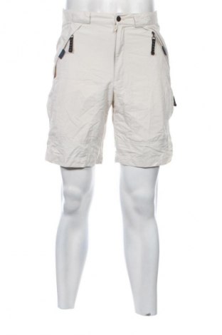 Herren Shorts Icepeak, Größe M, Farbe Beige, Preis 17,30 €