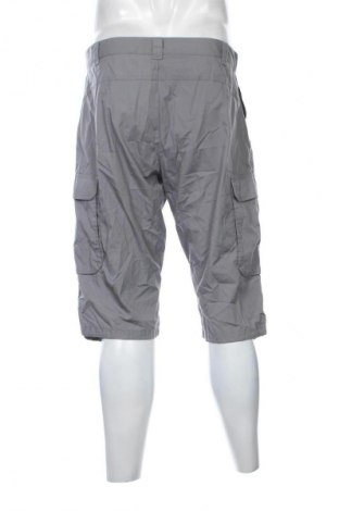 Pánské kraťasy Icepeak, Velikost M, Barva Šedá, Cena  499,00 Kč