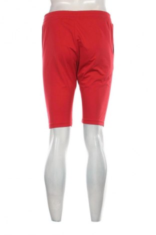 Herren Shorts Lacoste, Größe M, Farbe Rot, Preis 37,99 €
