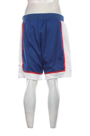 Herren Shorts Nike, Größe L, Farbe Mehrfarbig, Preis € 17,00