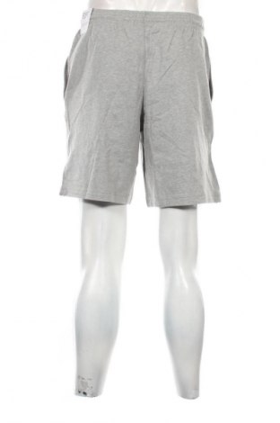 Herren Shorts Nike, Größe S, Farbe Grau, Preis 44,99 €