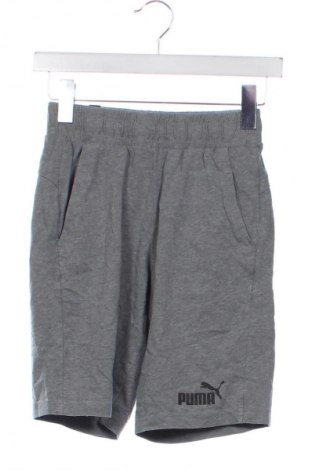 Pánske kraťasy  PUMA, Veľkosť XS, Farba Sivá, Cena  19,95 €