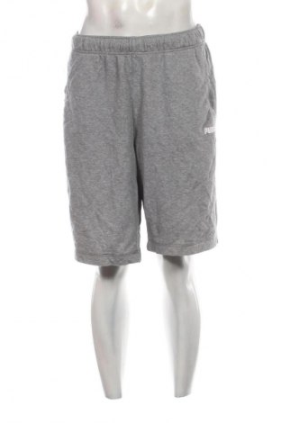 Herren Shorts PUMA, Größe XL, Farbe Grau, Preis 23,99 €