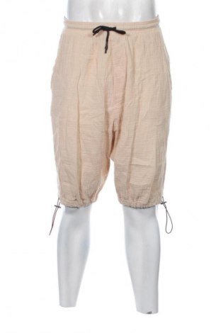 Herren Shorts Pause Jeans, Größe S, Farbe Beige, Preis € 13,13