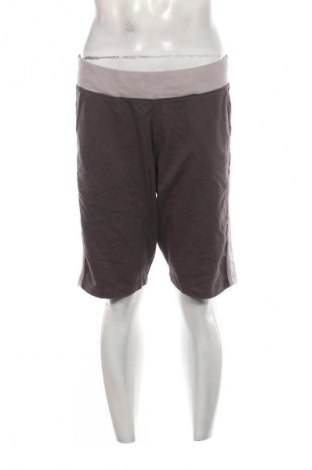 Herren Shorts Piazza Italia, Größe XL, Farbe Grau, Preis € 14,99