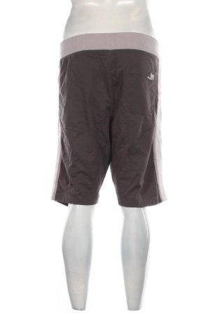 Herren Shorts Piazza Italia, Größe XL, Farbe Grau, Preis € 14,99