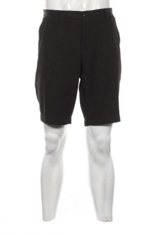 Herren Shorts Piazza Italia, Größe L, Farbe Schwarz, Preis 19,99 €