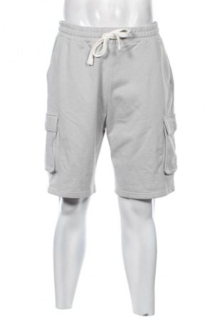 Herren Shorts Review, Größe L, Farbe Grau, Preis € 23,99