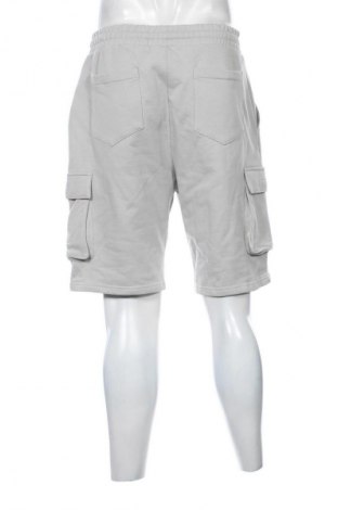 Herren Shorts Review, Größe L, Farbe Grau, Preis € 23,99