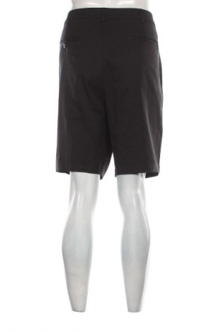 Herren Shorts Roundtree & Yorke, Größe XL, Farbe Schwarz, Preis 17,39 €