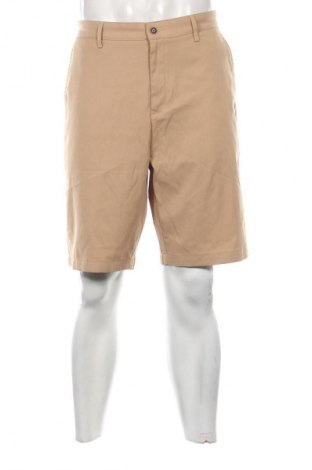 Herren Shorts SHEIN, Größe XXL, Farbe Beige, Preis 20,99 €