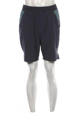 Pánské kraťasy Sports, Velikost M, Barva Modrá, Cena  179,00 Kč