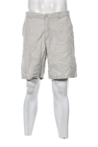 Herren Shorts Unbranded, Größe L, Farbe Grau, Preis 13,99 €