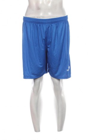 Herren Shorts Unbranded, Größe L, Farbe Blau, Preis € 5,99