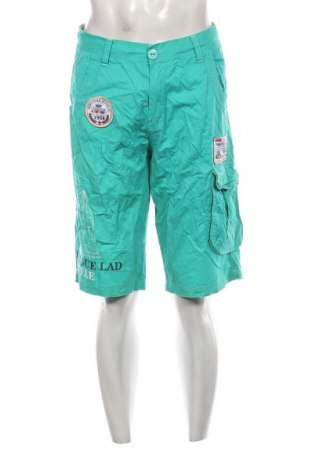Herren Shorts Unbranded, Größe L, Farbe Grün, Preis € 14,99