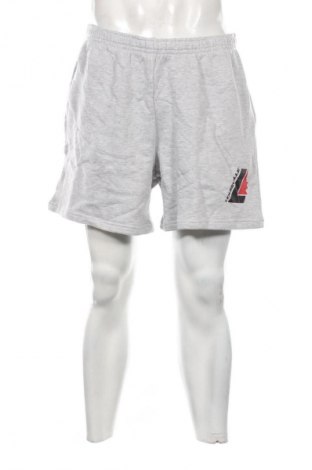 Herren Shorts Unbranded, Größe XL, Farbe Grau, Preis 15,99 €