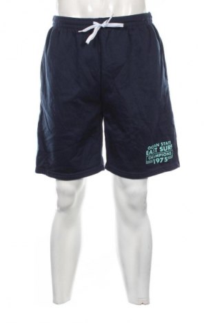Herren Shorts Unbranded, Größe L, Farbe Mehrfarbig, Preis 14,99 €