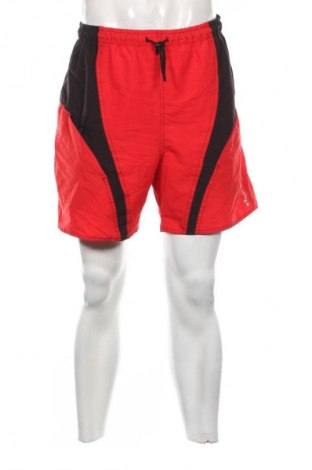 Herren Shorts Unbranded, Größe L, Farbe Mehrfarbig, Preis € 13,99