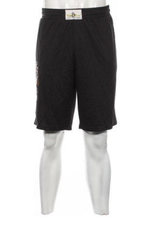 Herren Shorts Unbranded, Größe L, Farbe Mehrfarbig, Preis 13,99 €