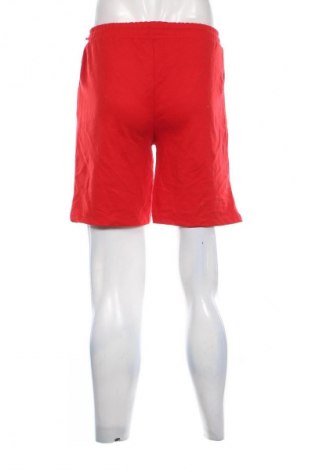 Herren Shorts Unbranded, Größe S, Farbe Rot, Preis 12,99 €