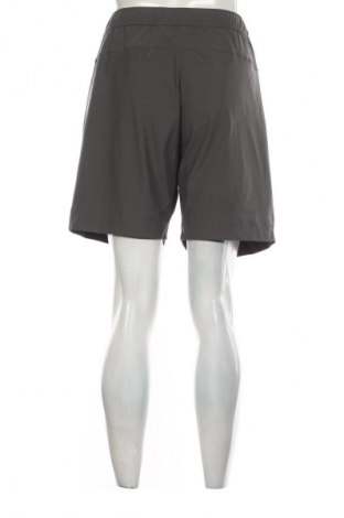 Herren Shorts Vince, Größe L, Farbe Grün, Preis € 86,99
