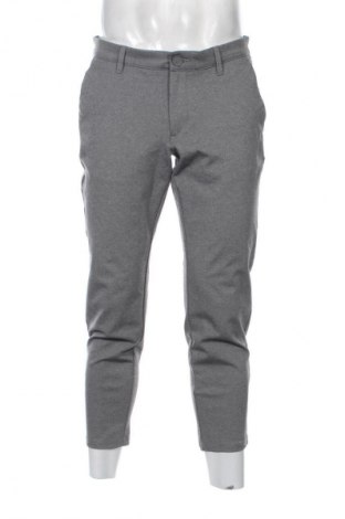 Herrenhose Only & Sons, Größe L, Farbe Grau, Preis € 43,99