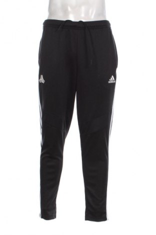 Herren Sporthose Adidas, Größe L, Farbe Mehrfarbig, Preis € 33,99