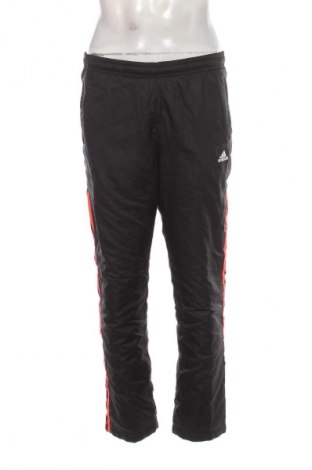 Herren Sporthose Adidas, Größe M, Farbe Schwarz, Preis € 30,99