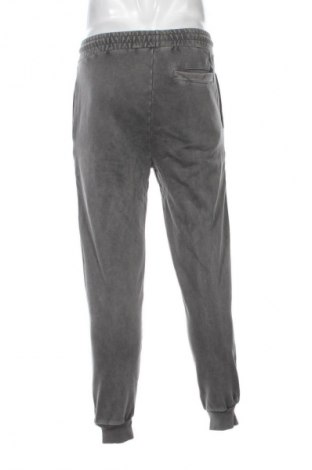 Herren Sporthose Dan Fox X About You, Größe S, Farbe Grau, Preis € 33,99